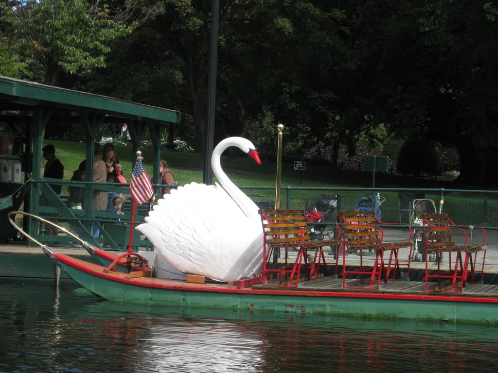 swan boat