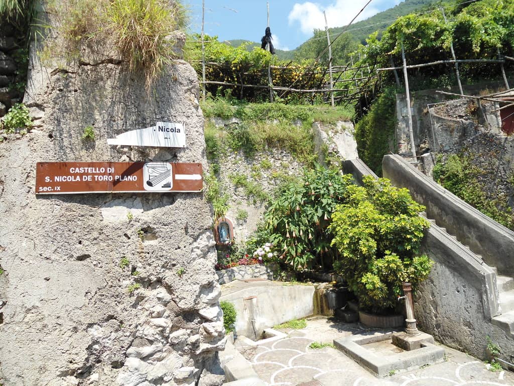 Vertical photo