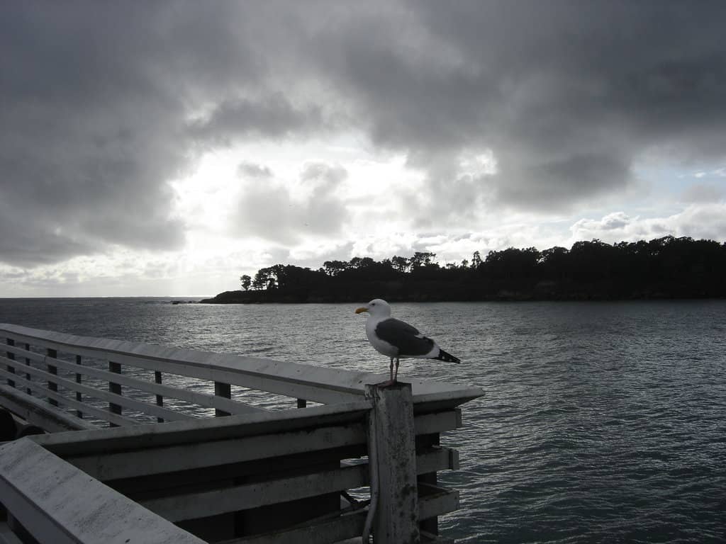 Vertical photo