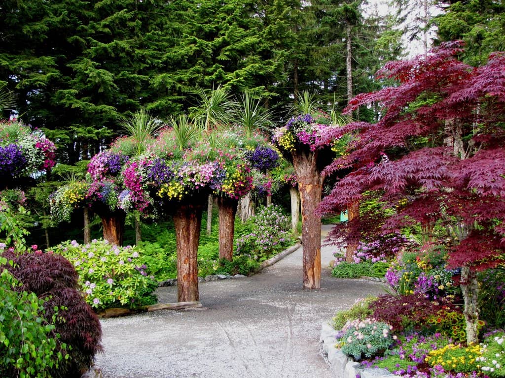 The Enchanted Rainforest