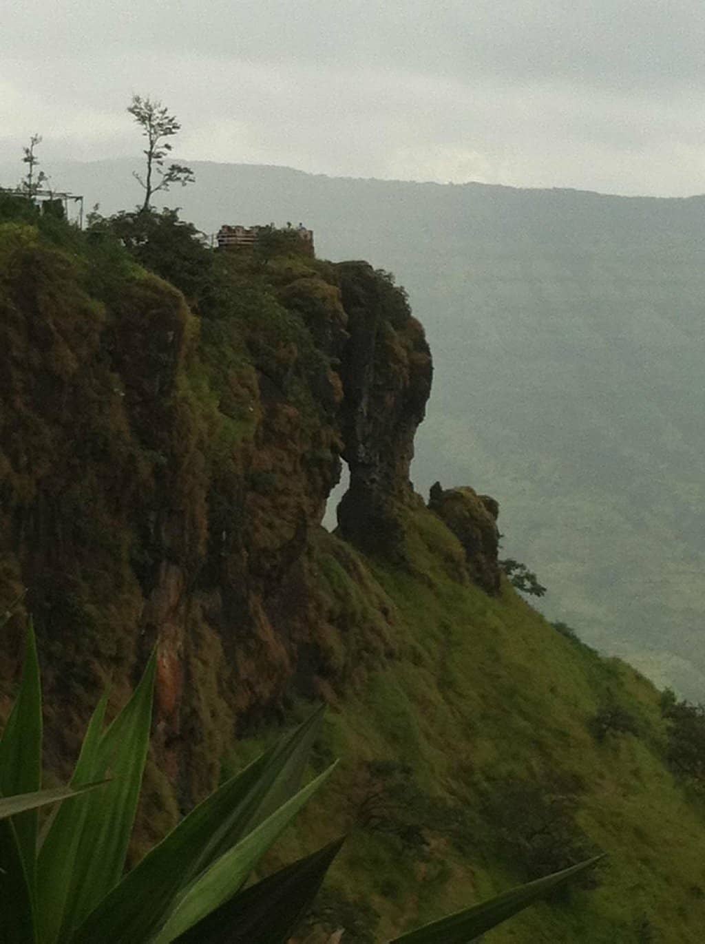 Vertical photo