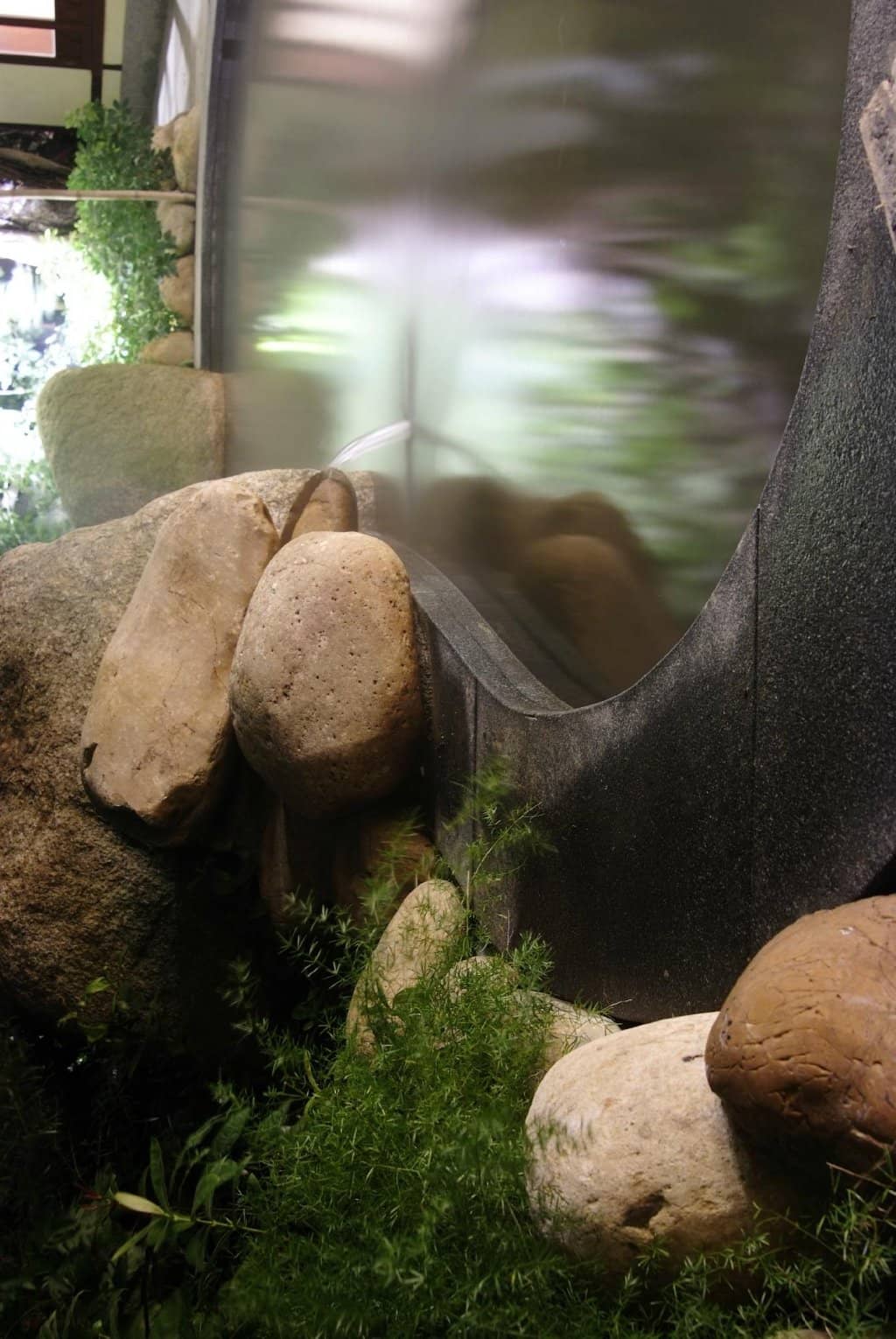 Karaoke & Entertainment