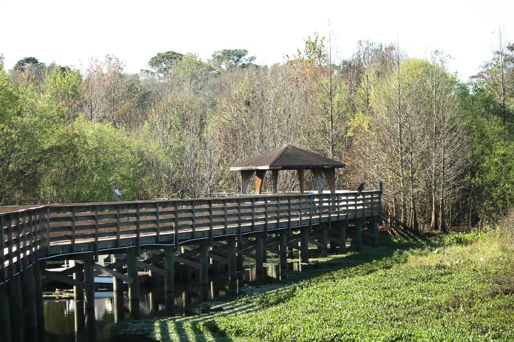 Panoramic Mountain Vistas