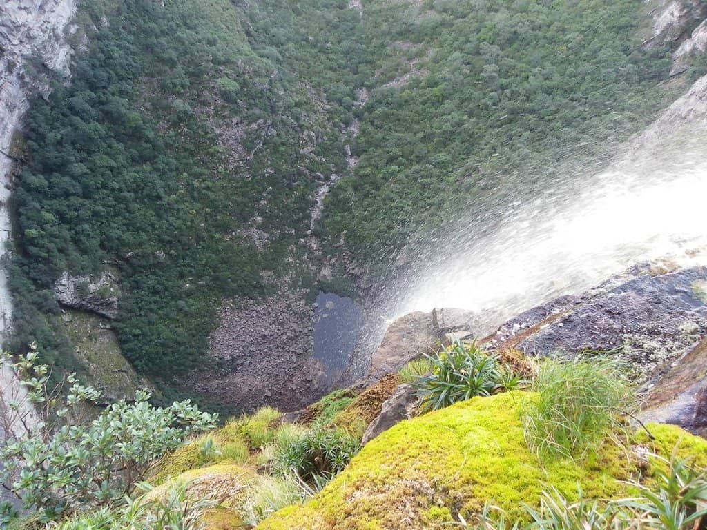 Vertical photo