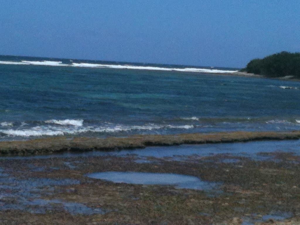 getlstd_property_photo