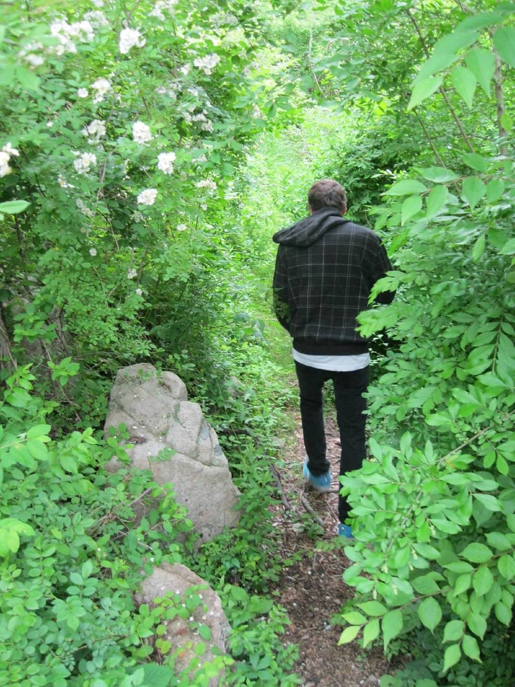 Inclusive Playground