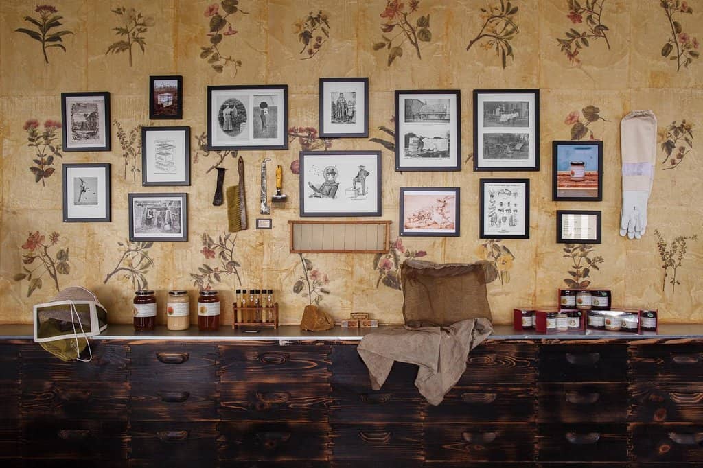 Learn About Bee Conservation