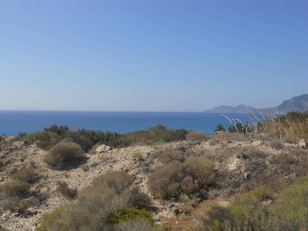 Authentic Kantina Delights