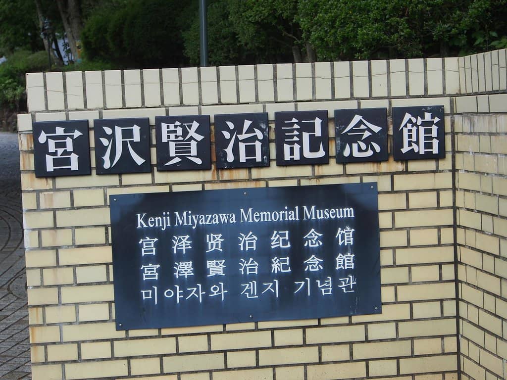 Forest Light-Up Event