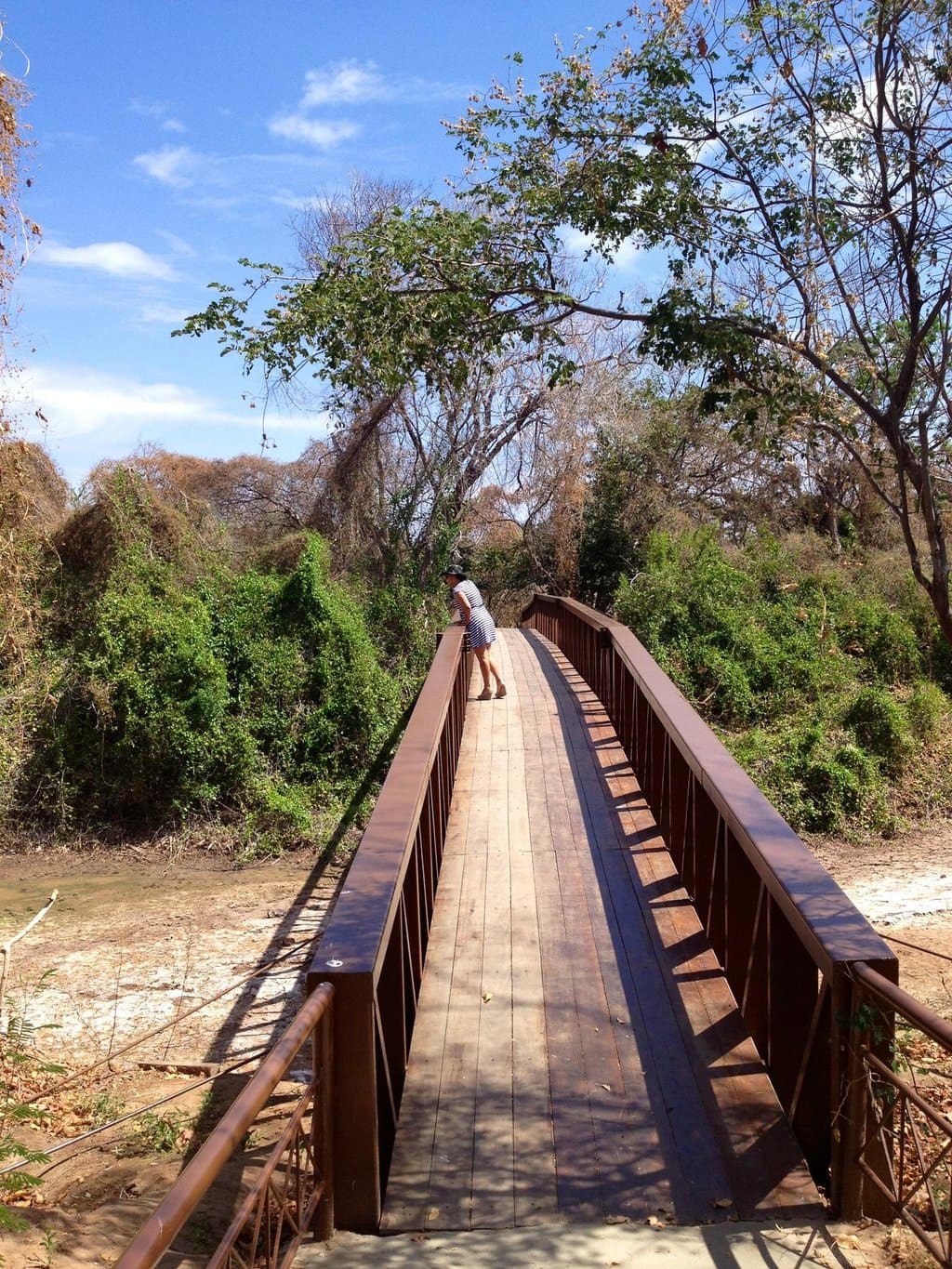 Passarela sobre o Rio para cadeirante