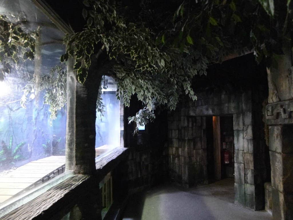 Interactive Touchpool