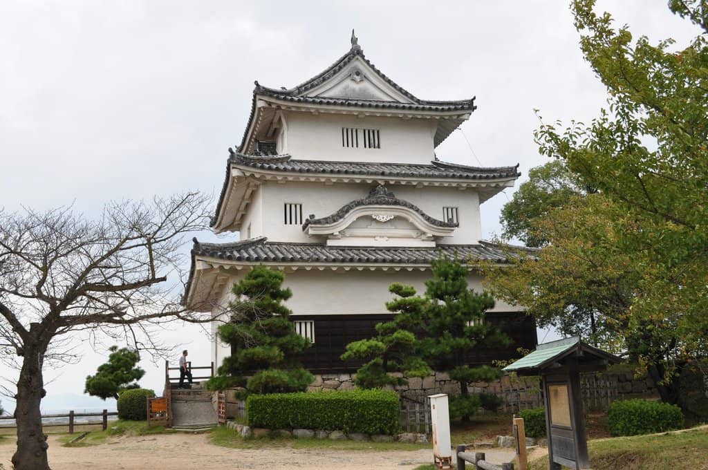 Panoramic City Views