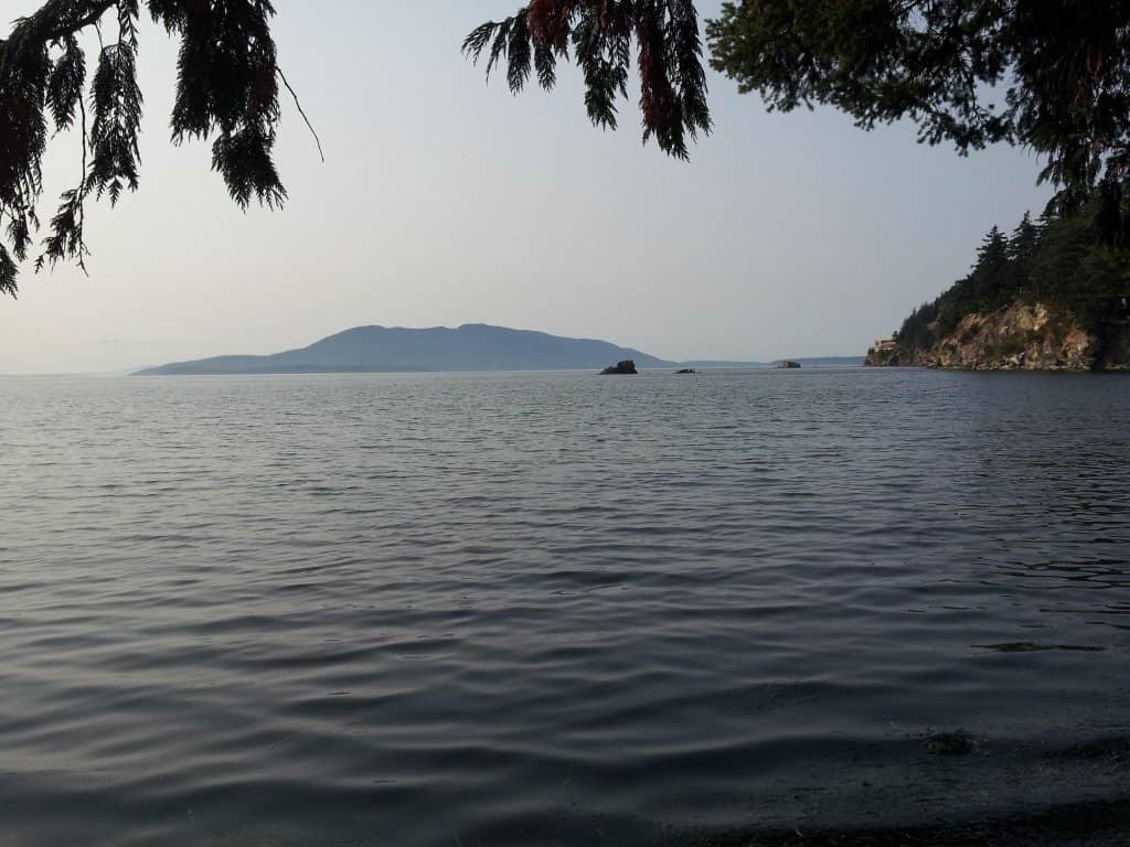 Live Music & Performances