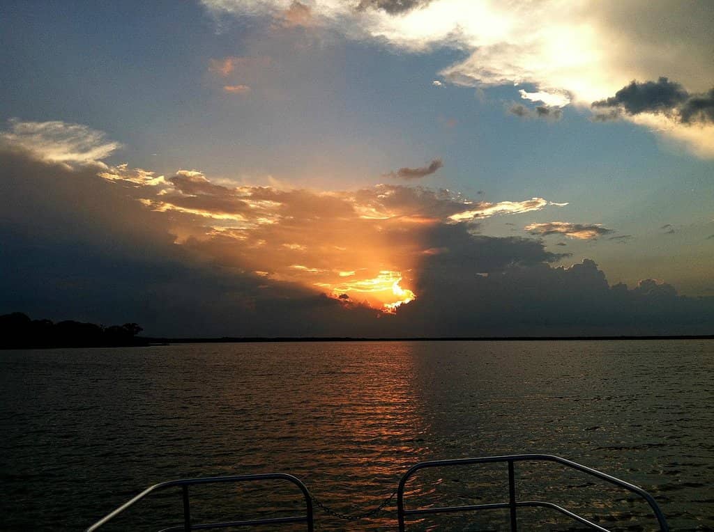 Magical Treehouse Stays