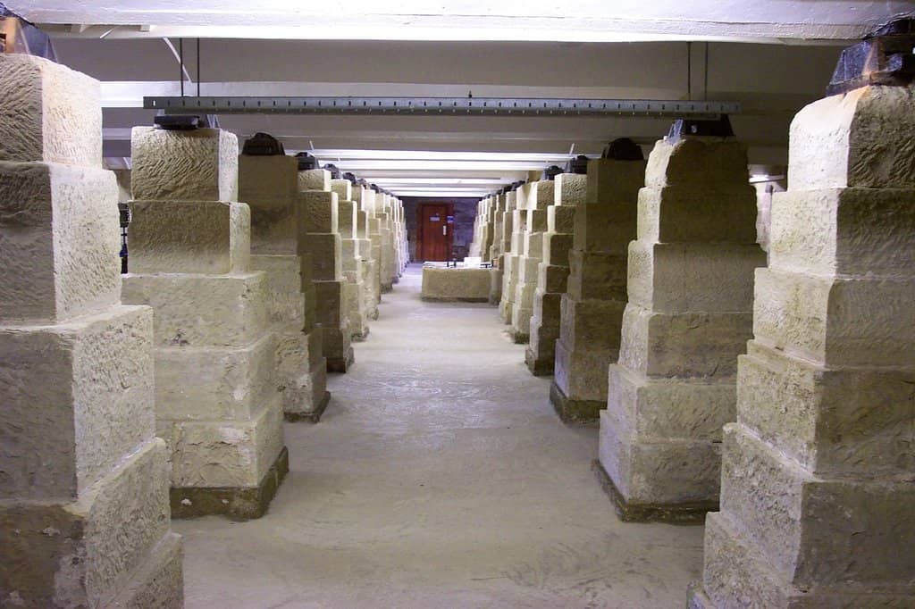 Costumed Volunteer Guides