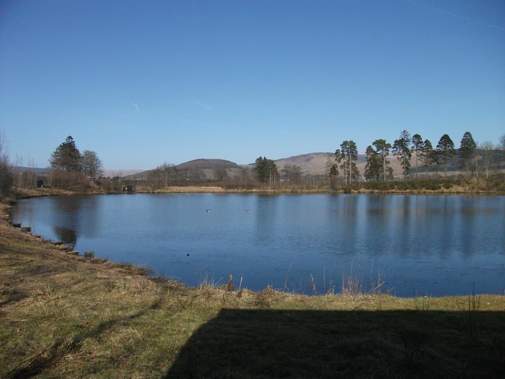 Lochan View