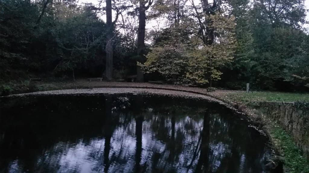 Serene Gardens & Lakes