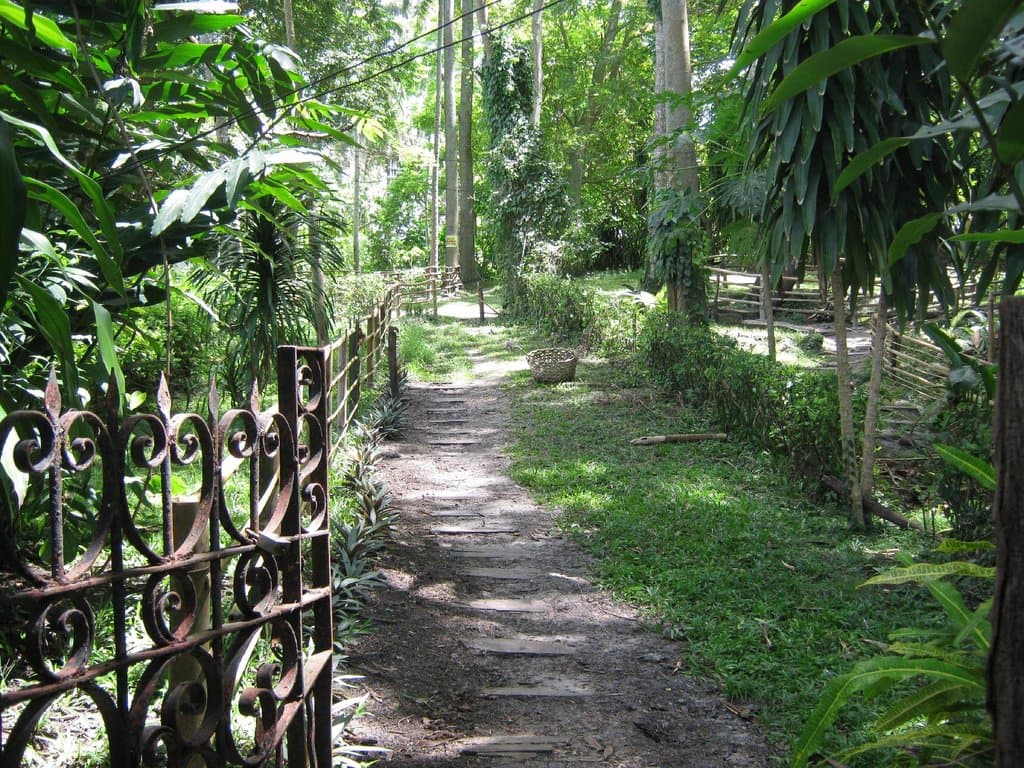 Летучие мыши на острове Самал