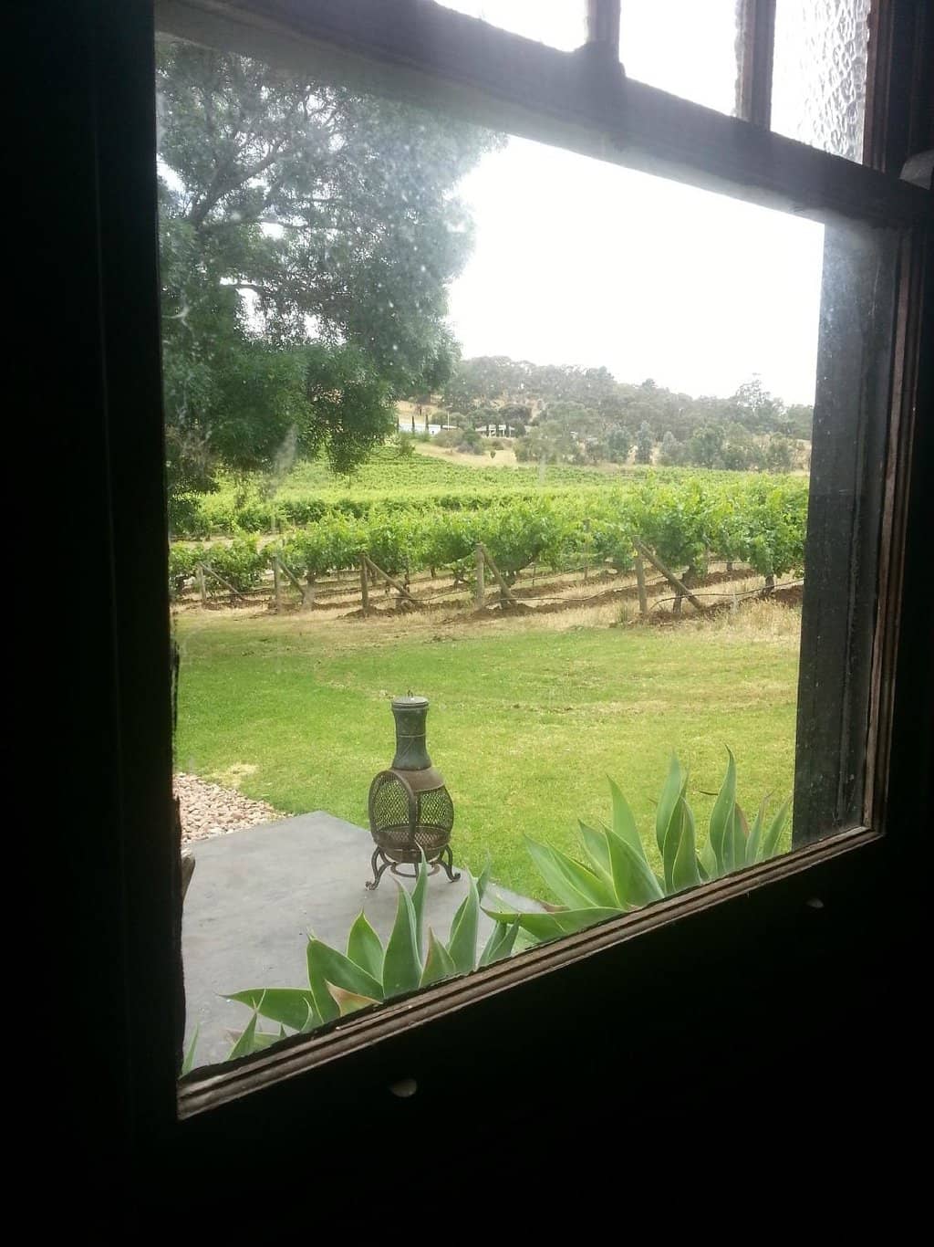 Vibrant Tasting Room