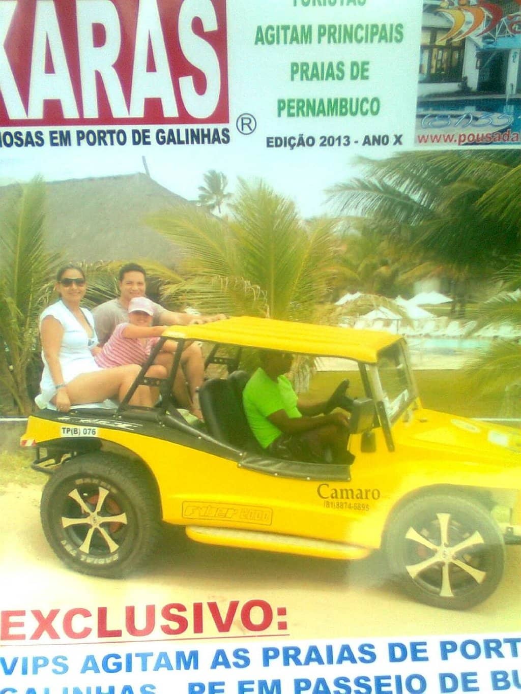 Coconut Tree Lined Shores