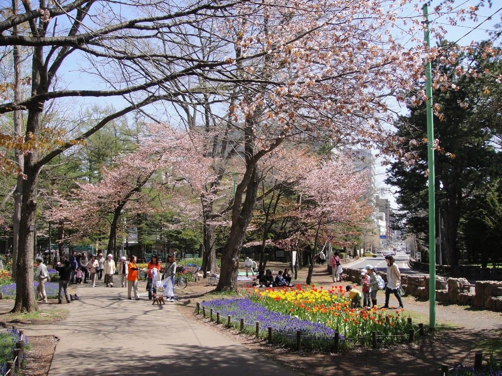 Май на Маруяме