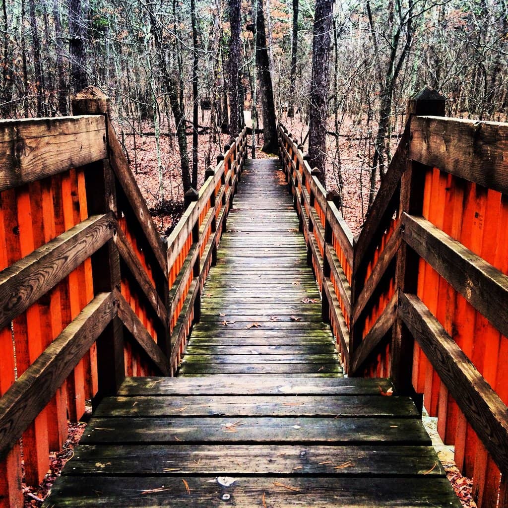 Whispering Pines Trail