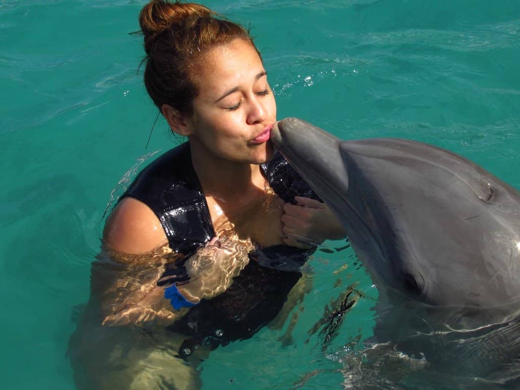 Swim with Dolphins
