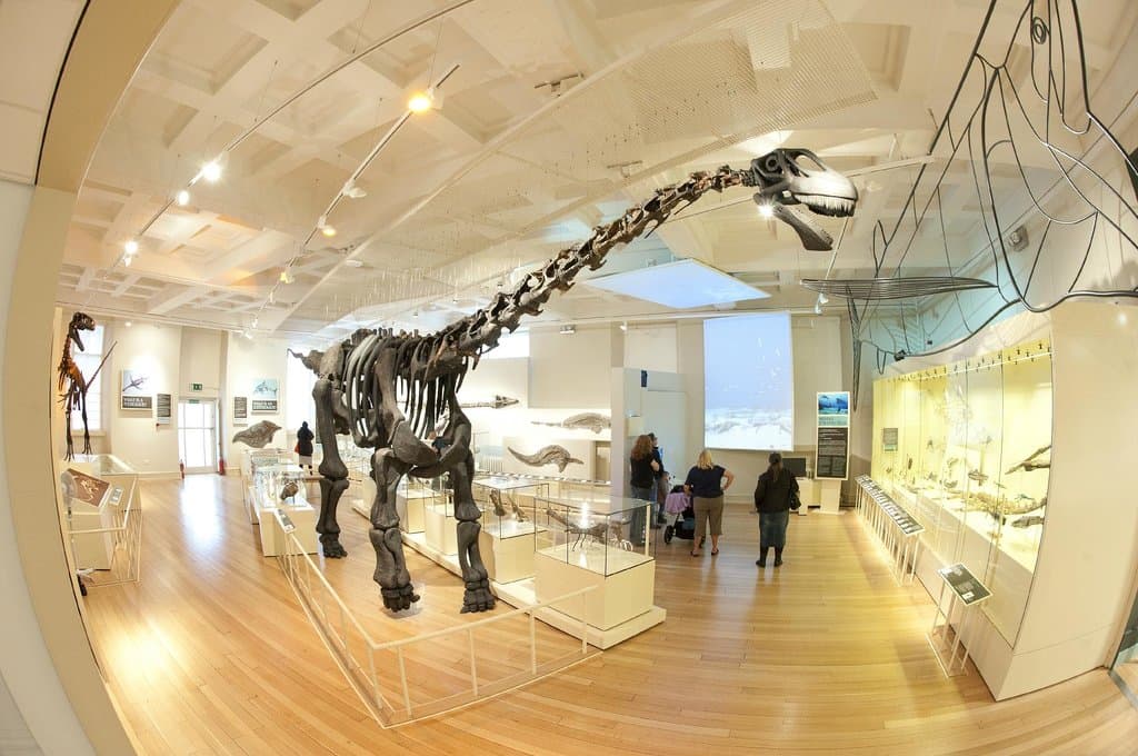 The Dinosaur Gallery