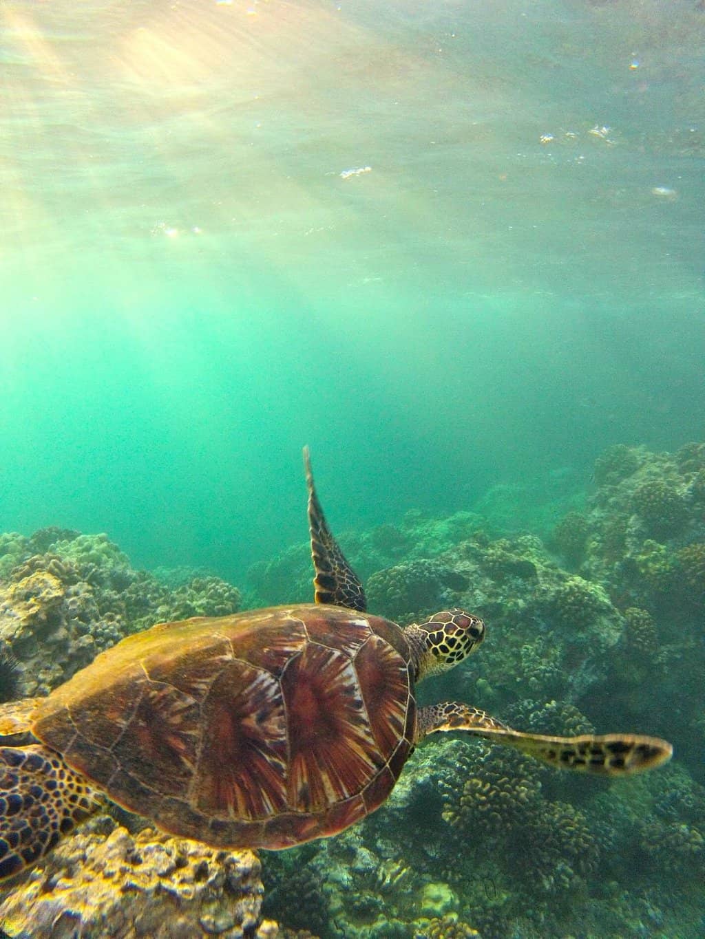 Calm, Clear Waters