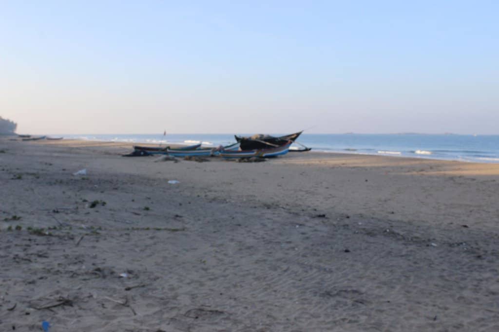 Malvani Seafood Delights