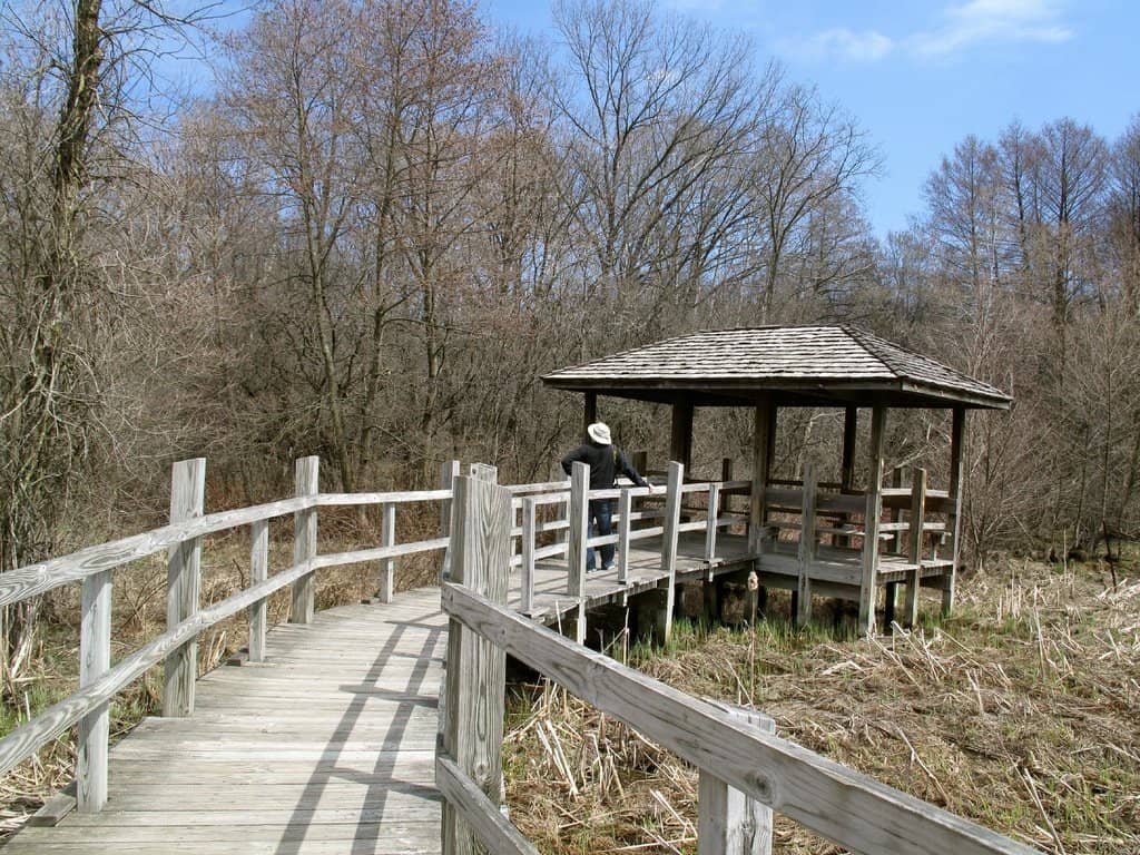 Crabapple Grove Charm