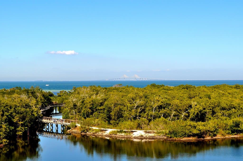 View from the tower.