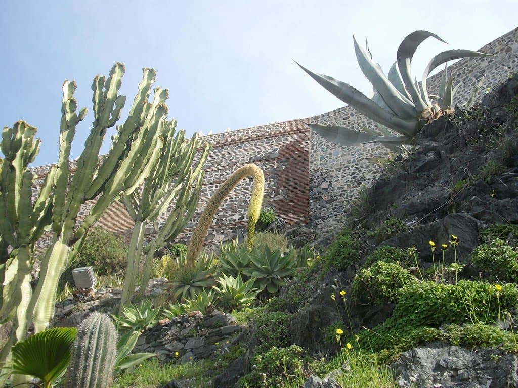flora del parque