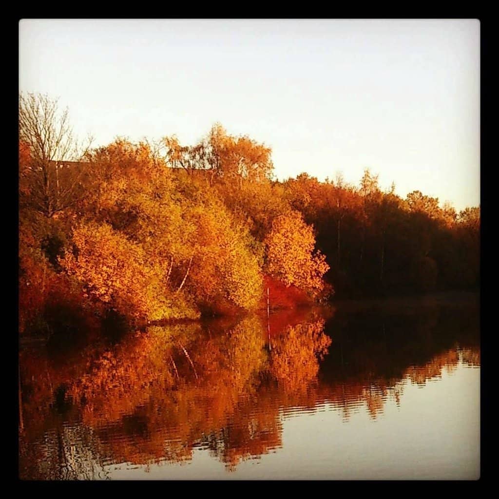 Aviary & Boating Lake