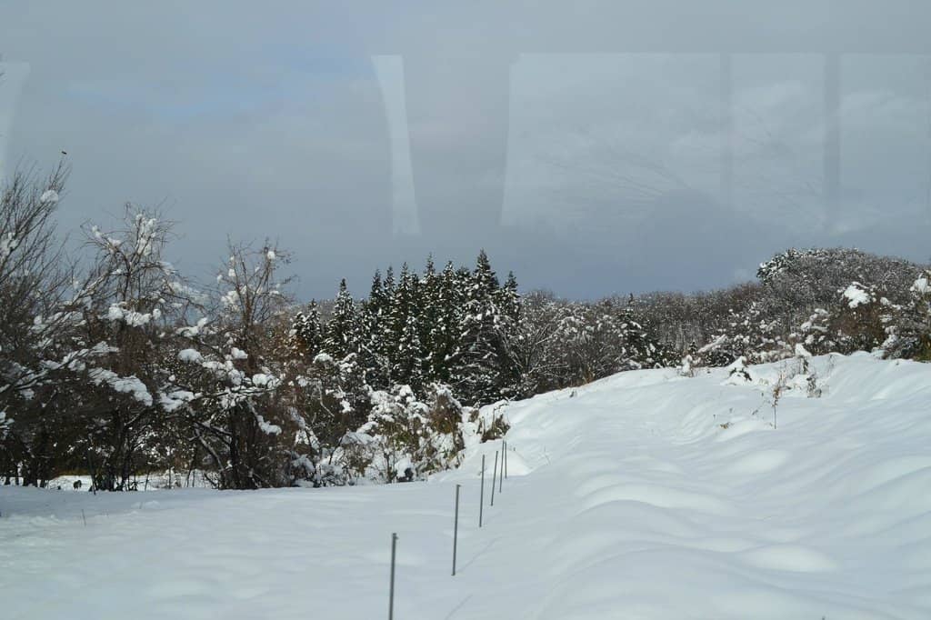 Zao's Snow Monsters