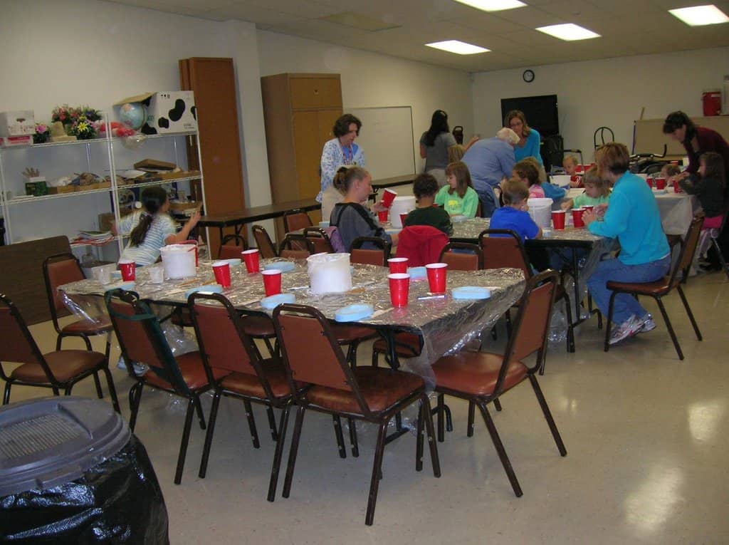 Ice Age Fossil Collection