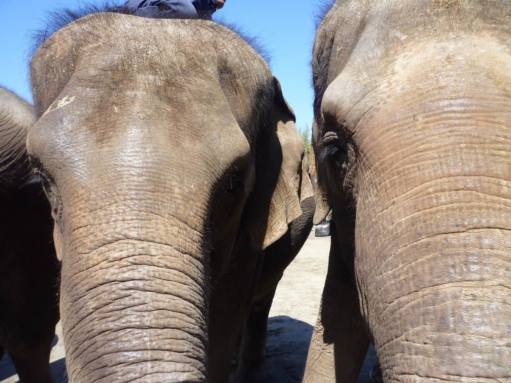 触りまくり触られまくり