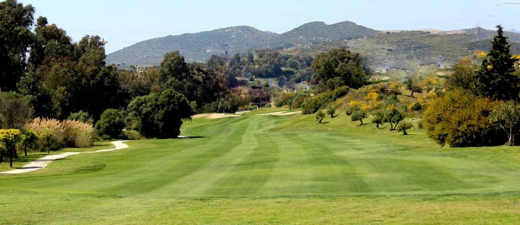 Well-Maintained Greens