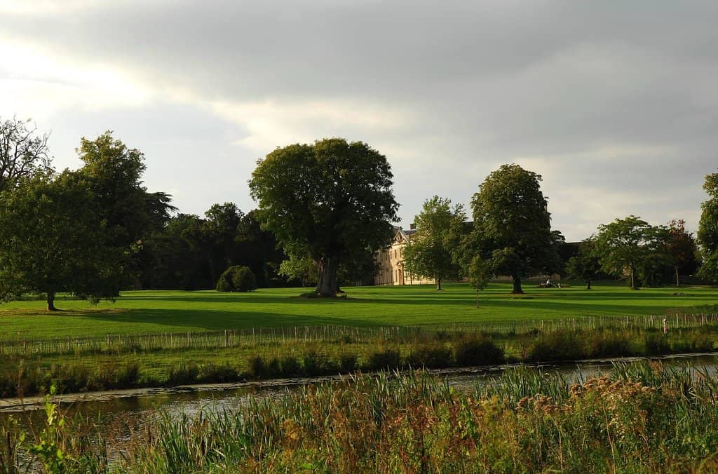 Playground & Open Fields