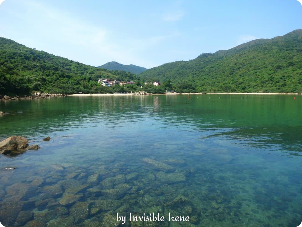 hoi ha wan