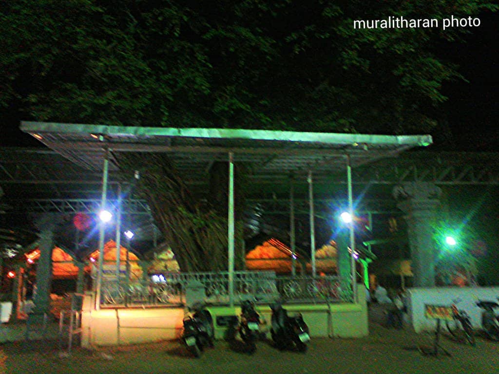 Navratri and Dasara Celebrations