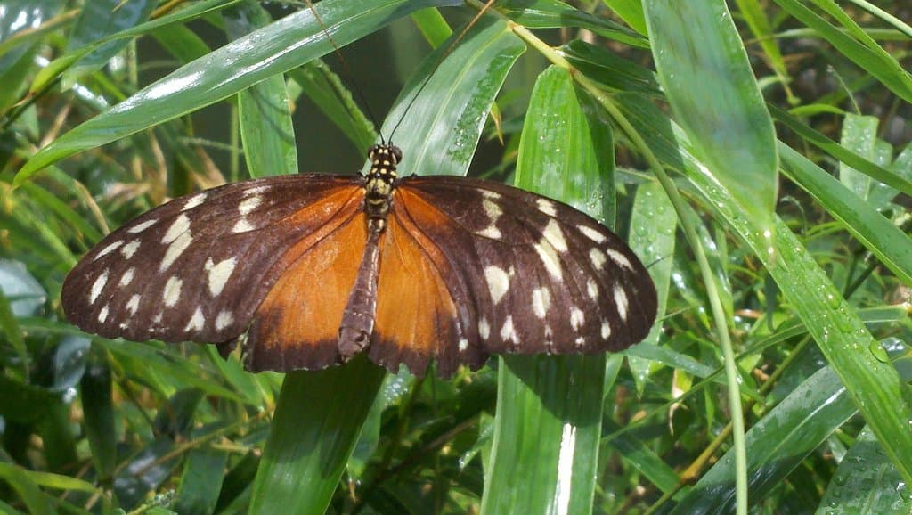 At Butterfly Wonderland.