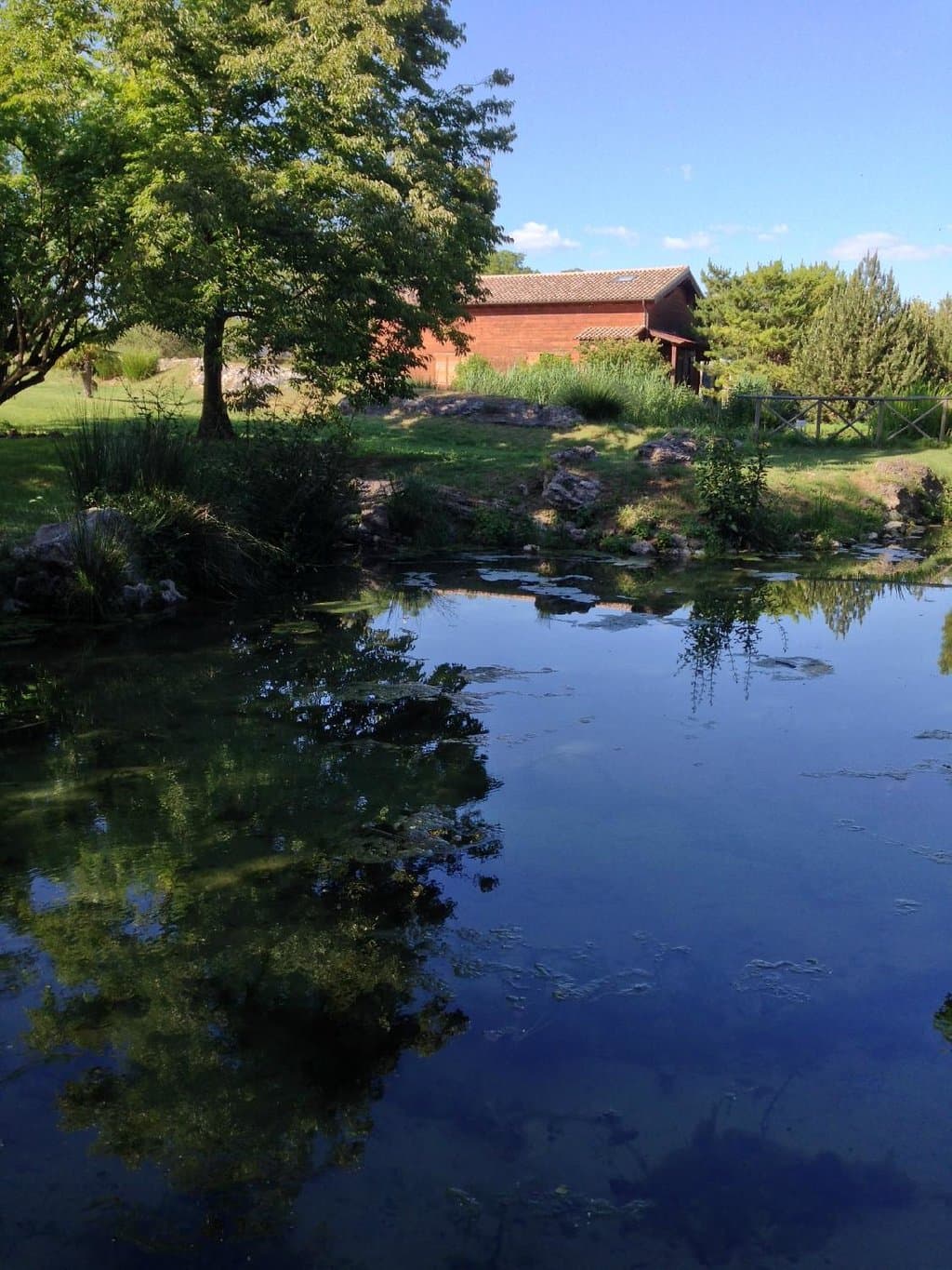 angolo di un laghetto