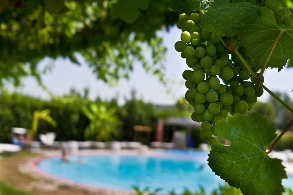 Natural Thermal Pools