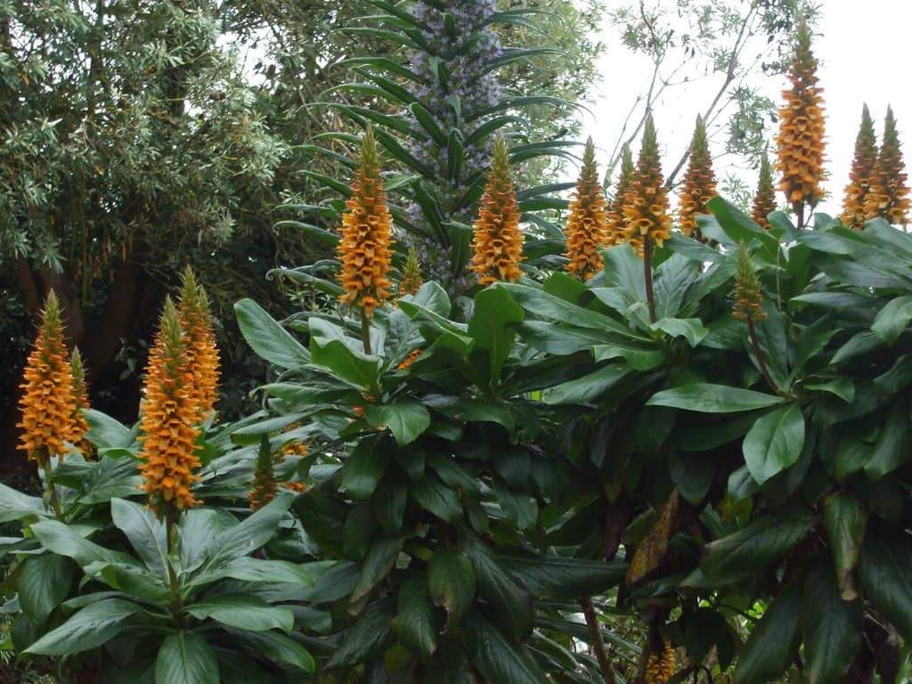 Abundant Wildlife