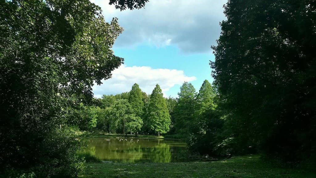 Japanese Garden