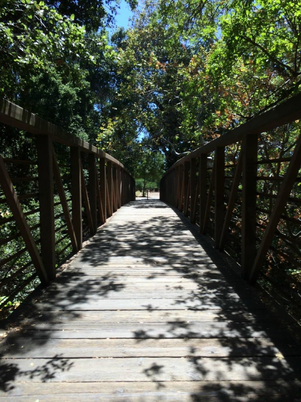 Bridge