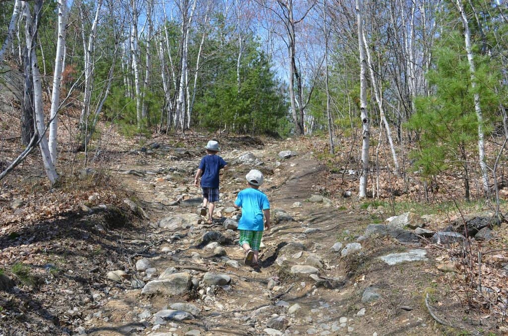 Nature Chalet & Outdoor Classroom