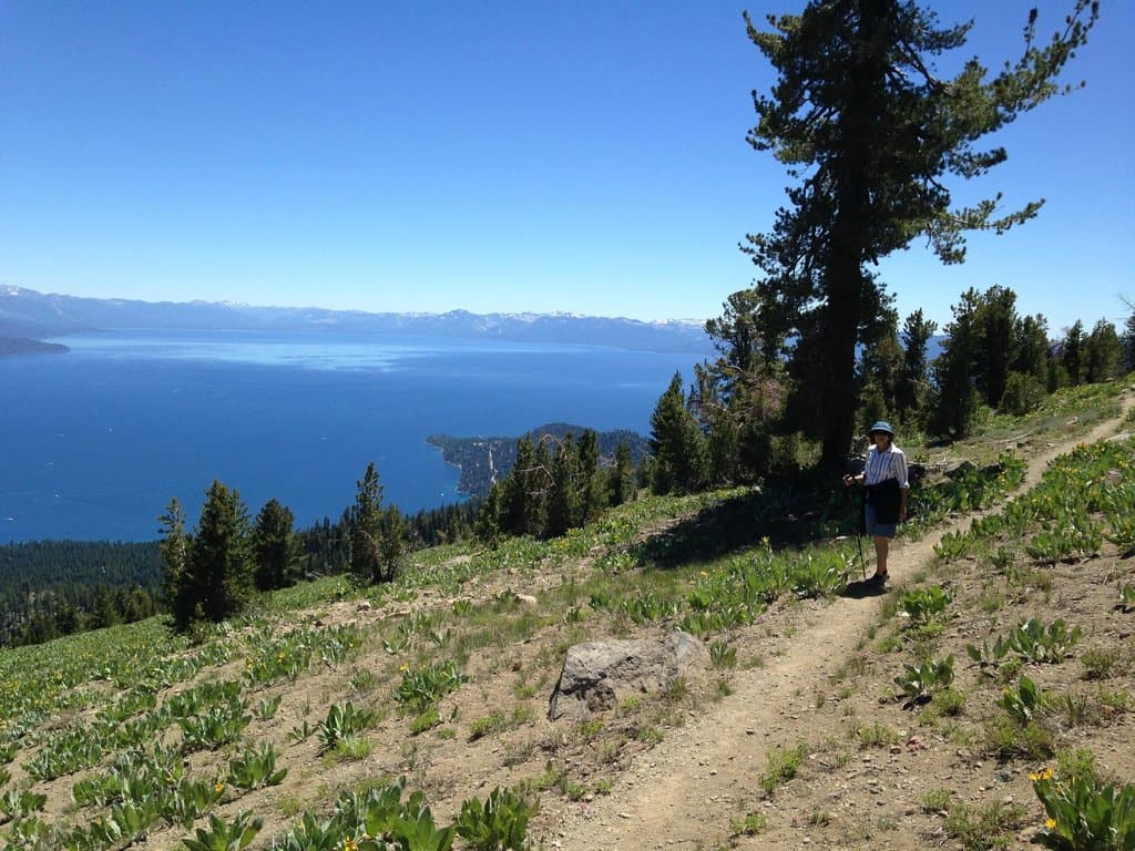 Northern TRT near Mud lake - great view eh!