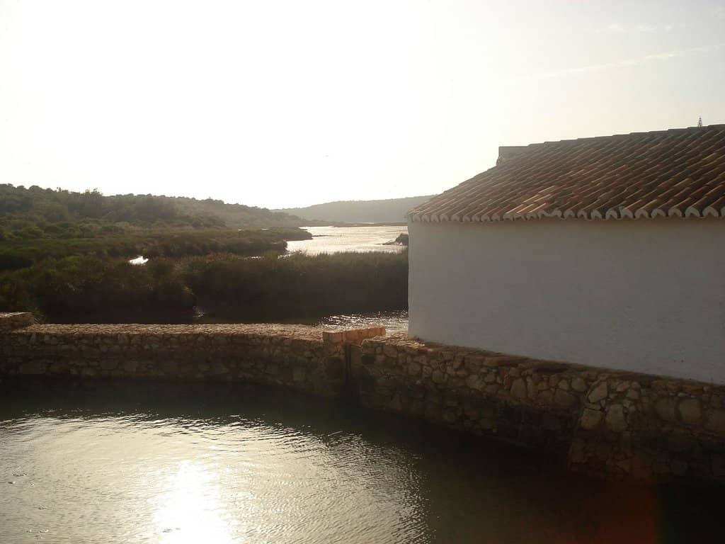 Lakeside Picnic & BBQ